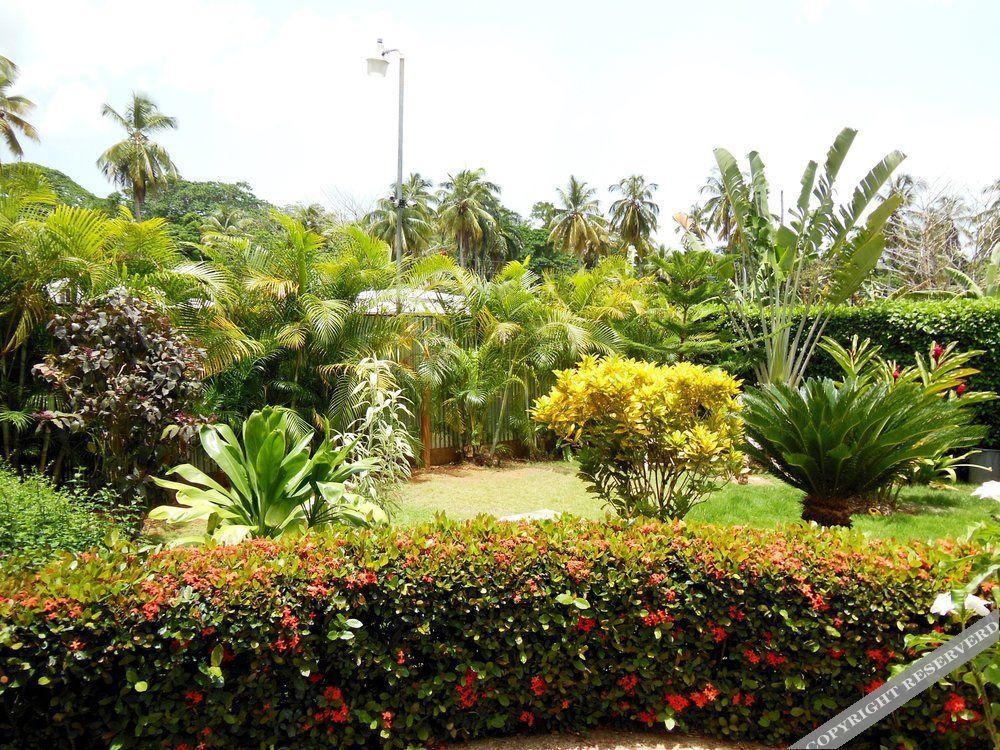 Casa Lily & Coco Aparthotel Las Terrenas Exterior photo